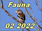 Fauna 02 2022